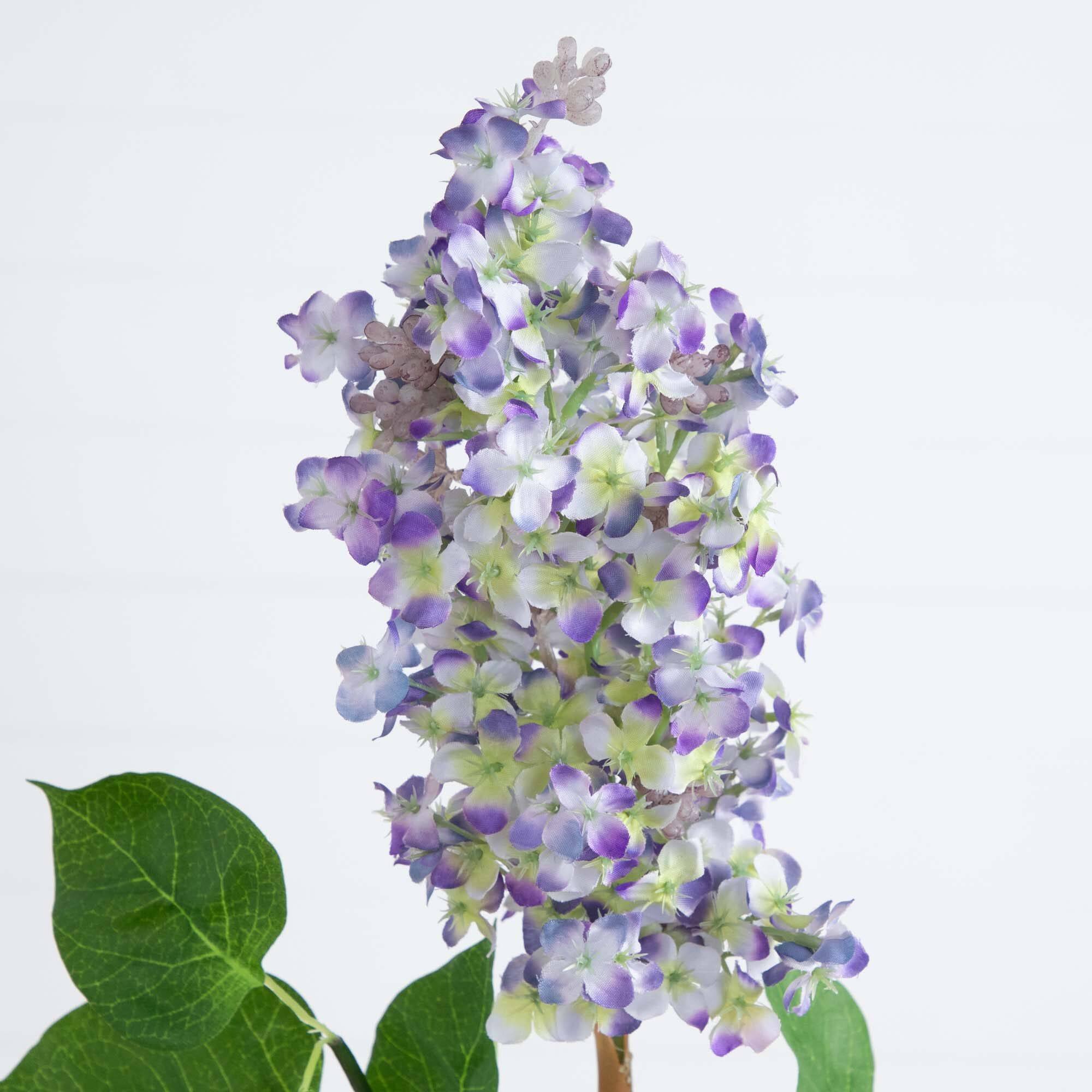 36" Purple Lilac Flower Stems, 3ct.